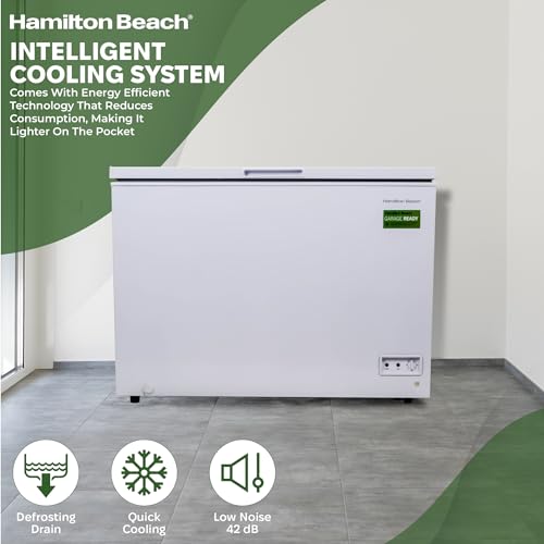 Hamilton Beach 10 Cu.Ft Freezer