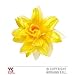 Produktbild Lively Moments Haarblume / Haarschmuck / Kostümzubehör Hawaii Blüte in gelb auf Haarspange