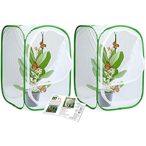 RESTCLOUD Jaula de insectos y mariposas para hábitat terrario emergente Cover