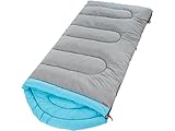 Coleman Dexter Point 30 Adult Sleeping Bag