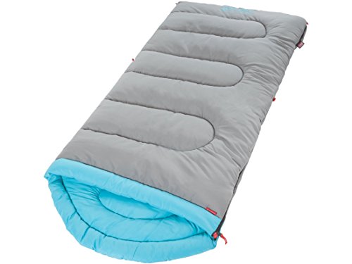 Coleman Dexter Point 30 Adult Sleeping Bag