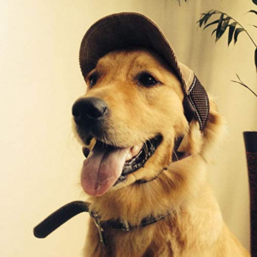 LOVIVER Hundecap Hundehut Baseballmütze Sommer Baseball Cap Kappe Für Hunde, Kaffee, M