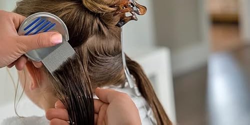 Orange Cross Lice Comb Professional Nit Comb Stainless Steel Comb For Lice And Nits - Head Lice Comb, Removes Nits And Super Lice, Lice Treatment Brush #TOP4