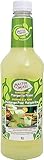 Master of Mixes Margarita Mixer, 1 Liter