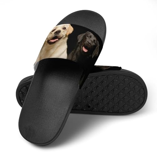 Chaussons de Maison Slide Souples avec Motif Chien Labrador Mignon