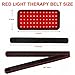2026 Upgraded Red Light Therapy Belt,2 in 1 Dual Wavelength LED Beads 660nm&850nm Red Light Therapy Wrap for Back Knee Hands Feet Pain Relief Skin Health Personal Care,10