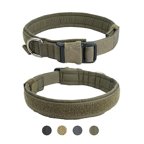 Collier tactique pour chien gris M idéal randonnée et éducation