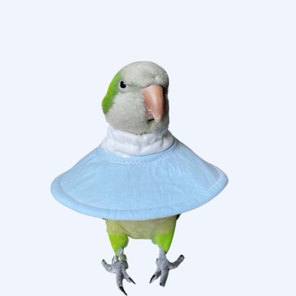 Parrot Neck Collar Pet Anti-bite Picking Feather Healing Protective Neck Cover Collar for Birds (4XL)