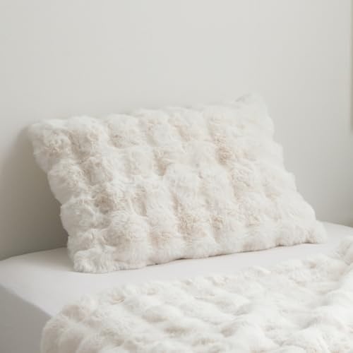 CPqR Jo[ s[P[X sAXPremium 43×63cm ӂӂ  k 킢  1195990142306