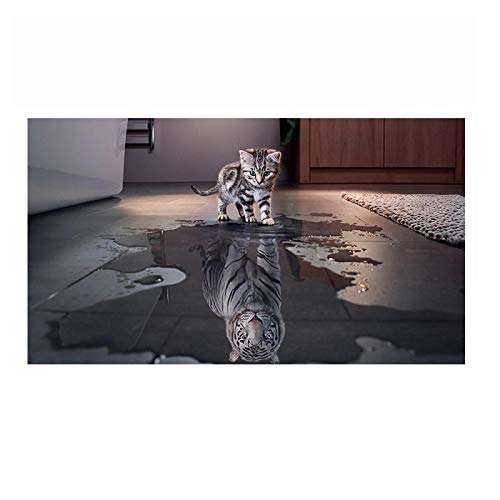 Tableau chat moderne regardant son reflet impression murale 50x80