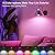 Frideko Rechargeable Battery Operated Wall Sconces Set of Two with Remote, RGB 15 Colors Dimmable Black Wall Light, Indoor Battery Powered Wireless Sconce with Timer for Living Room Bedroom