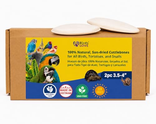 Birds LOVE 3.5-4 Cuttlebone for Birds 100% Natural Sun-Dried Calcium & Beak Conditioning Supplement for Parakeets Budgies Cockatiels Finches & Canaries 2 Pack with Holder Made in Vietnam