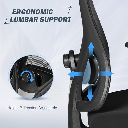 Furmax High Back Ergonomic Office Chair with Headrest and Adjustable Lumbar Support (Black)