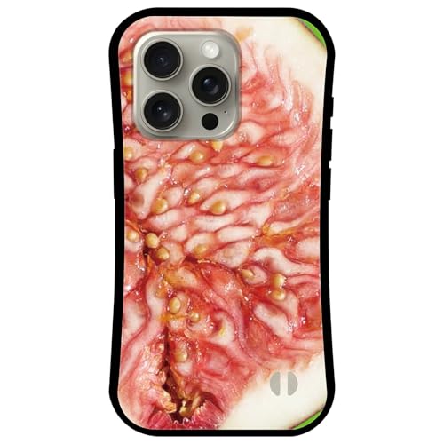 iPhone 17 Pro Max p P[X MagSafe Ή Jo[ AN TPU Qi[d z  }Olbg ϏՌ op[ CX[d }OZ[t ACtH17v}bNX ifa052-q C`WN ԉ