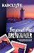 Beyond the Breakwater (Provincetown)