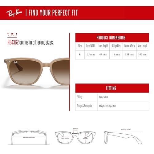 Ray-Ban RB4362 Square Sunglasses For Men For Women +BUNDLE with ACCESSORY EYEWEAR KIT4