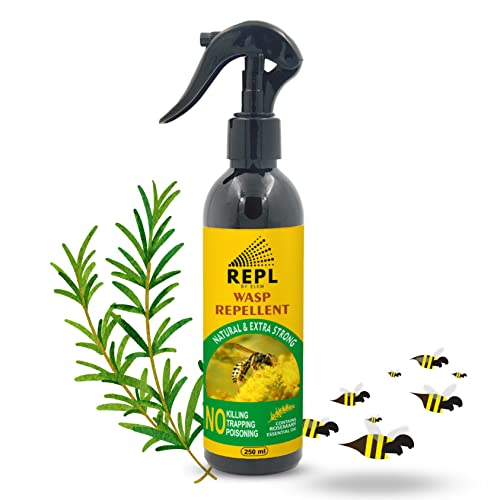 Wasp Sprays