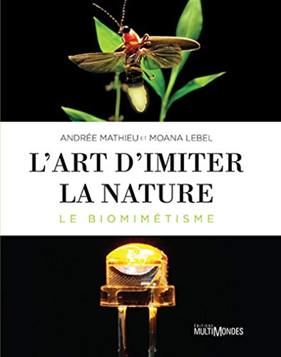 L'ART D'IMITER LA NATURE. LE BIOMIMETISME: Le biomimétisme