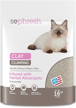 So Phresh by Petco Scoopable Gentle Attract Kitten & Picky Kitty Litter 16 lbs.