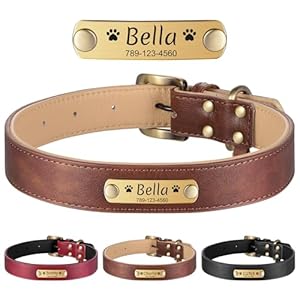 YEHANTI Collier Chien Personnalisé – Collier pour Chien en Cuir sur Mesure pour Petits, Moyens et Grands Chiens, Collier Chiot Durable et Réglable avec Plaque Signalétique (Marron)