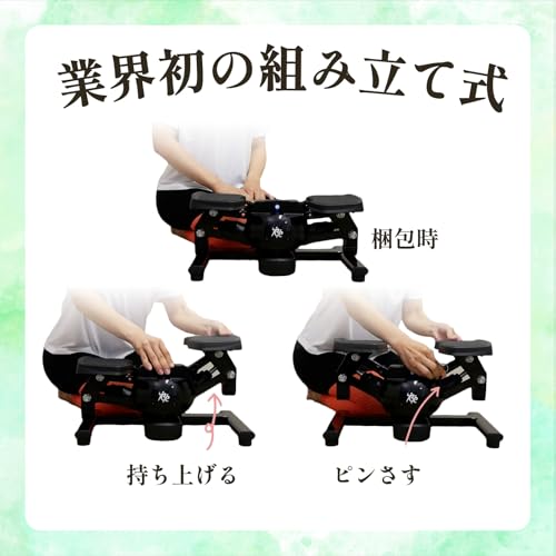 RE ツイストエアロステッパー mini SP-210