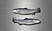 Akachafactory 2X Autocollant Sticker Voiture Moto Peche Truite Poisson pecheur