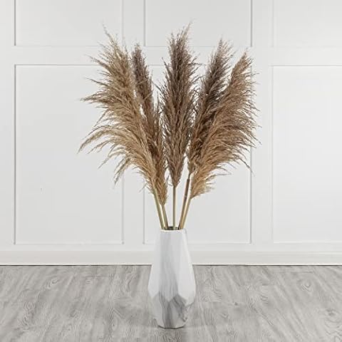 Mollie Sophia Large Dried Beige Pampas Grass Decor | 5 Stems | 115cm Fluffy Pampus | Tall Pampass | For Vase | Wedding Home Decor For Flower Arrangements Cover