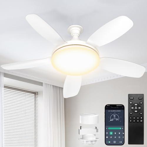 SUKITEN �V�[�����O�t�@�����C�g 8-10�� ��81cm �y2026�N�ŐV�i���E��^�E�啗�ʁE���t��]�z E26 LED �t�@���t���Ɩ� 5000lm 44W ���^ �É� �O��DC���[�^�[���� ���i�K�������F APP���� �����R���t�� �^�C�}�[ ����
