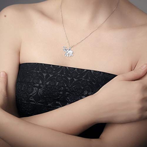 Hearbeingt Elephant Urn Necklace for Ashes Cremation Jewelry Stainless Steel Ash Pendant for Human Pets Memorial Necklaces Keepsake Jewelry of Loved Ones