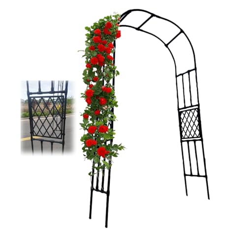 WXGZSKLV Arco De Jardín Acero Soporte Plantas Trepadoras, Arcos De Resistente Pérgola Enrejad para Exteriores Decoración Patio 120 150 180 200 220 240 250 300 Cm Fácil De Montar(320 x 250cm (WxH))
