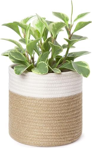 Dahey Small Cotton Rope Plant Basket Woven Plant Coiled Basket fo...