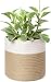 Dahey Cotton Rope Plant Basket Small Woven Storage Basket for Up to 7" Planter, 7.5" x 8" Decorative Flower Pot Cover Closet Storage Bin Table Desk Organizer Modern Home Decor, White and Beige