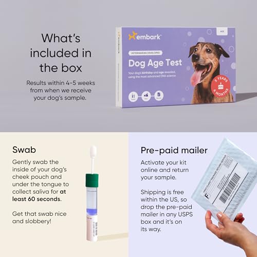 Embark Breed + Health Dog DNA Test & Dog Age Test Bundle - Discover Breed, Ancestry, Relatives, Genetic Health, Traits, and Birthday - Thumbnail 6