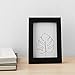 Amazon Basics Rectangular Photo Picture Frame, 5
