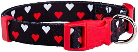 Native Pup Valentine's Day Heart Dog Collar, Cute Pink Red Puppy Gift (Small, White and Red Hearts)
