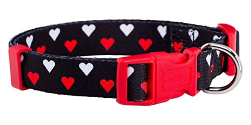 Native Pup Valentine’s Dog Collar- Valentines Day Pet Collars- Valentine Girly Hearts- Pink Red Heart- Cute Boy Girl Puppy Gift- Adjustable for Small, Medium, Large Breeds (White & Red Hearts, Small)
