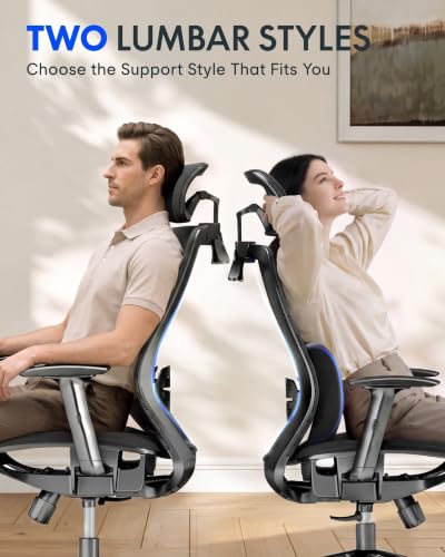 Image of FLEXISPOT OC3 Ergonomic Chair with Dual Front& Back Lumbar Support,MS Black