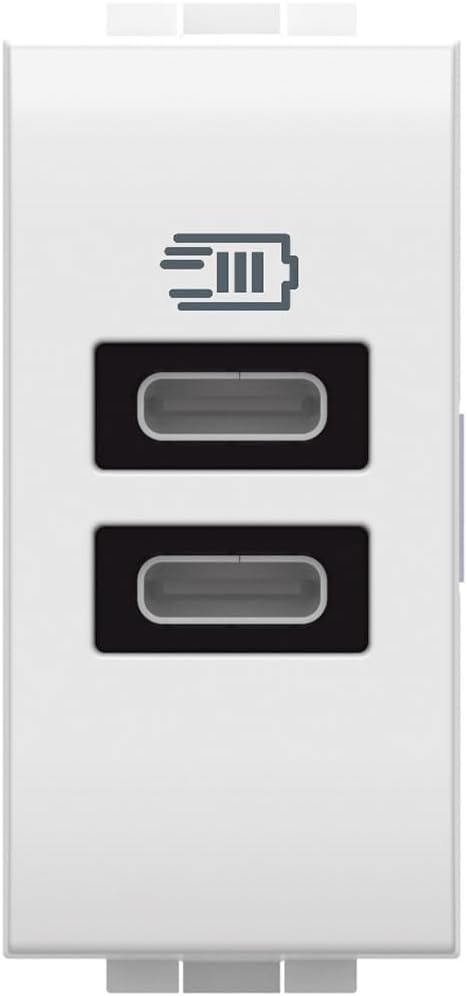 Bticino N4191CC - Cargador USB con Dos entradas Tipo C, para Instalar en la Placa Livinglight, para Cargar un Dispositivo electrónico de hasta 15 W o Dos Dispositivos simultáneos, 1 Plaza, Color