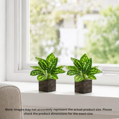 Image of DecoreBugs Artificial Real Touch Flower Plant with Pot (Pack of 2), 16 cm Height, Decorative Faux Floral Plant for Home, Office, Living Room, Bedroom, Table & Shelf Decor
