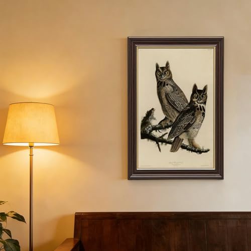 Toile hibou à cornes d'Amérique Audubon impression d'art premium - 4