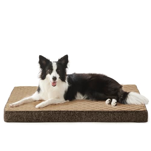 JOEJOY Panier Chien Grande Taille Orthopedique, Coussin Chien Lavable en Machine, Tissu Peluche Doux, Base antidérapante, Tapist Chien Matelas Lit...