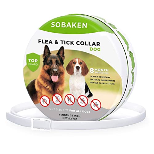 Protect Your Pup Against Pesky Fleas Top 10 Sobaken Flea Collars for