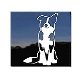 Sitting Border Collie | NickerStickers® Vinyl Dog Window Auto Decal Sticker