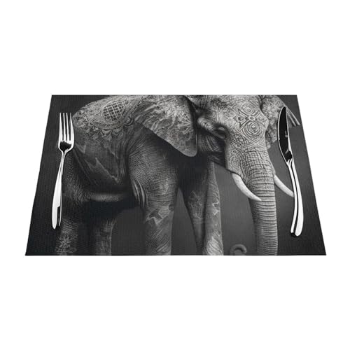Set de table lavable pour cuisine et table à manger lot de 6 - 7