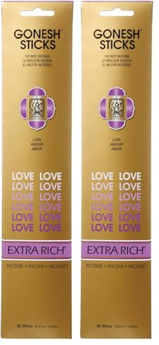 GONESH(K[lbV)  CZX XeBbN u(x[n̍) 20{ 20 (x 1) (2pbN)