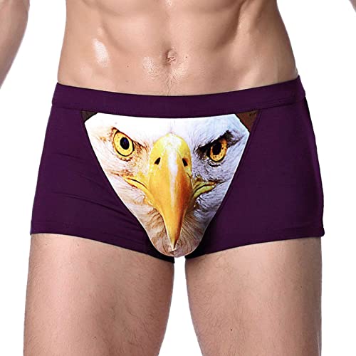 LZH FILTER Animaux Loup Aigle Boxer Homme sous-Vêtement Slip Caleçon Short Culotte Lingerie Brief Impression en 3D Lot de 3 Cover