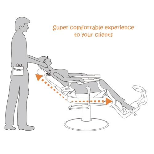 Nazalus Barber Chair Hair Salon Chair,Heavy Duty 700 LBS, for Hair Stylist Barber Beauty Tattoo Massage(Black Square)