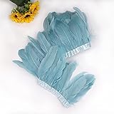 Fácil de usar: pluma natural seca, fácil de pegar en cosas. El extremo puntiagudo no es puntiagudo, lo que es seguro para tus manos.