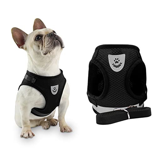 Kleines Hundegeschirr für Katzen, Welpen, Leine, Brustgurt, atmungsaktives Netzgewebe, weiches Material, für Welpen, Kätzchen, Outdoor, Walking, Training (S, schwarz) Cover
