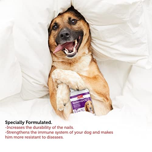 Image of Bio PetActive Biodermdog Biotin and Zinc Tablet for Dogs 0,5 g 75 Tablets Helps in Support Gut Health & Maintain Healthy Skin Condition